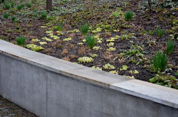 Concrete Wall Construction in Brick