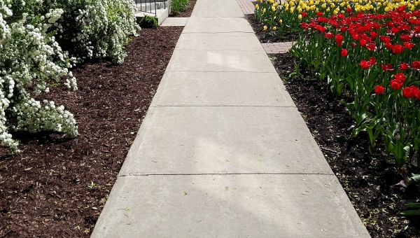 Cement Sidewalk Installation in Brick
