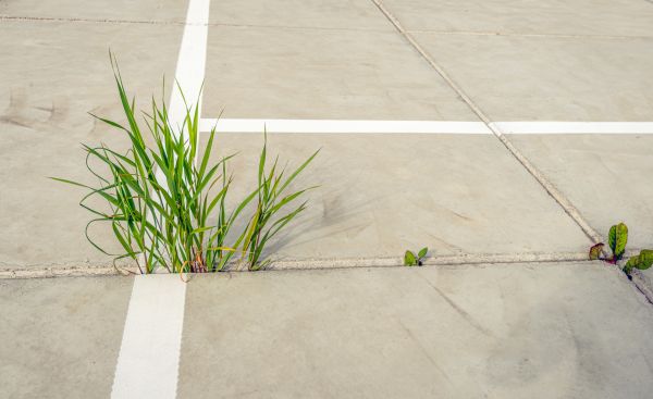 Concrete Parking Installation in Brick