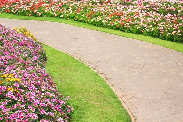 Concrete Walkway Service in Brick